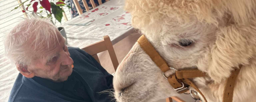 Alpaki, przytulasy i .... buziaki 18.03.2026